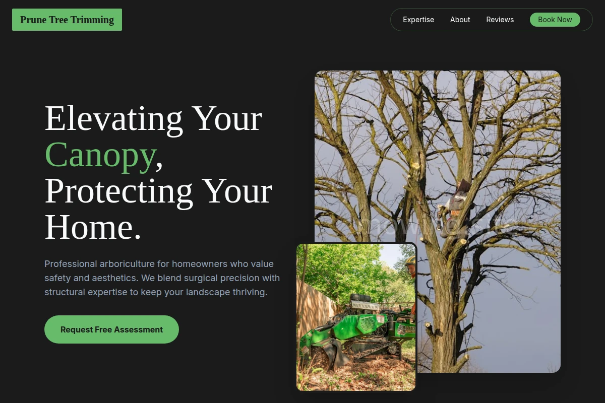 Prune Tree Trimming