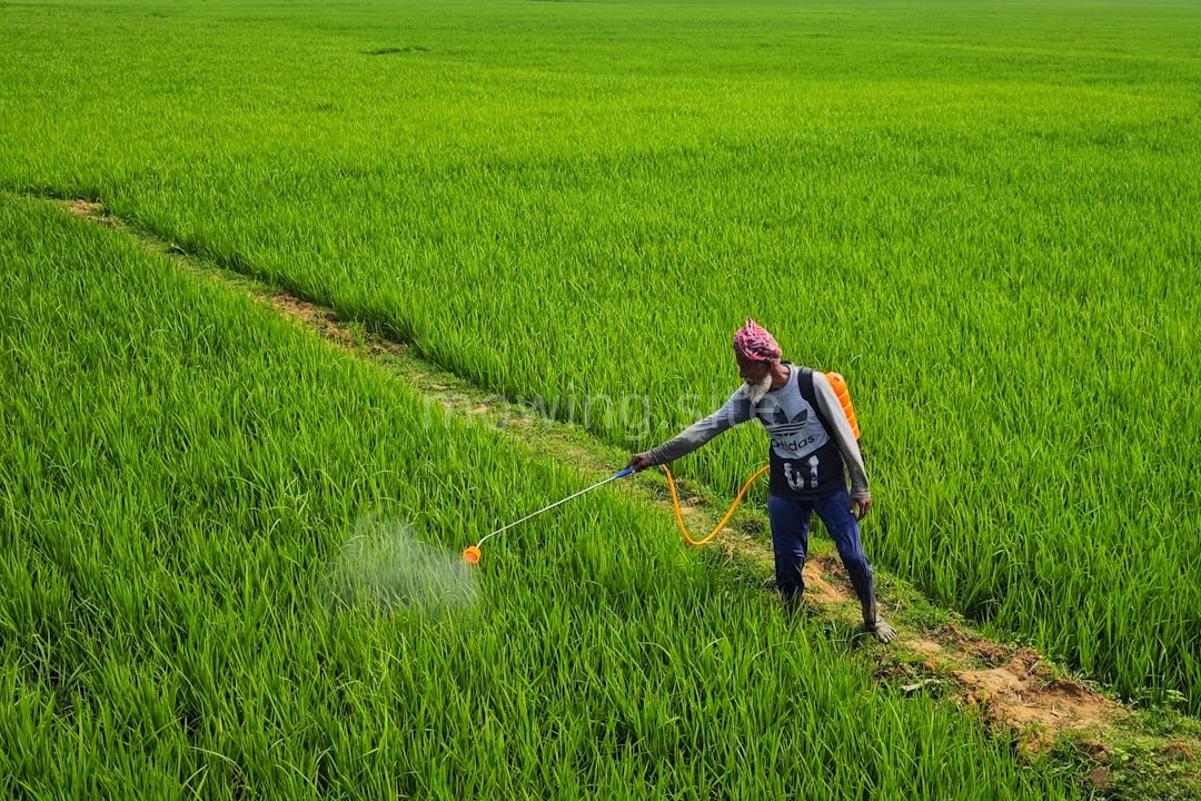 Soil Treatment