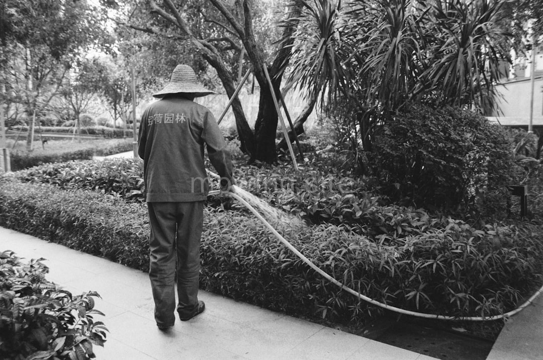 Weed Removal